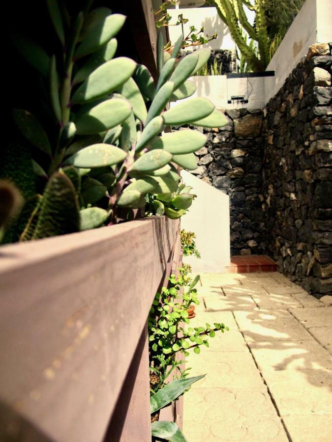 Apartamento Pardela Costa Adeje  Exterior photo